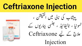 Dayline 250mg Injection UsesDayline 500mg InjectionDayline 1g Injection Ceftriaxone Injection [upl. by Franck]