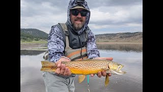 A few EPIC days of fly fishing for big healthy trout at Panguitch Lake UT [upl. by Gruchot167]