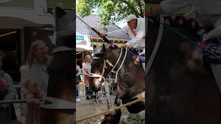 🐎 Ringrijden Meliskerke🇳🇱 Netherlands TravelwithHugoF ringrijden meliskerke netherlands [upl. by Tolland106]