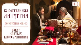 БОЖЕСТВЕННАЯ ЛИТУРГИЯ Трансляция 17 ноября воскресенье в 0840 [upl. by Nelav831]