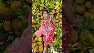 পরেই যেতো 😱 comedy funny fruit food foodie banglacratoon comedyvideos youtubeshorts monkey [upl. by Aem]