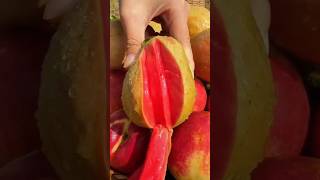 Natural fresh fruit fruit viralvideo satisfying trending fresh fruits rubra india shorts [upl. by Rosette]