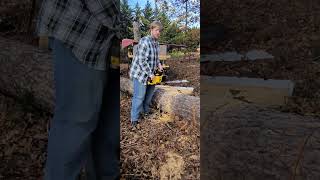 What chainsaw Electric DeWalt 60v Woohoo [upl. by Araeic]