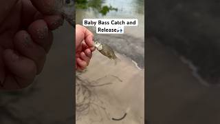 I Took My Baby Bass Fishing Catch amp Release [upl. by Vivianne911]