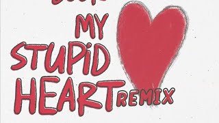 My Stupid Heart  Walk Off The Earth DJ Cruz R Remix [upl. by Hillhouse937]