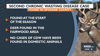 Second chronic wasting disease case found in Spokane County [upl. by Yenruoc]