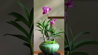 A beautiful green plant Dendrobium shortvideo plants youtubeshorts viralvideo viralshort [upl. by Chappy]