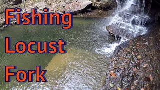 Fishing the Locust Fork Blount County Alabama [upl. by Sim940]