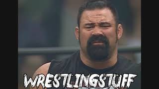 WCW Rick Steiner 8th Theme Song  quotDog Poundquot With Tron [upl. by Hanshaw]