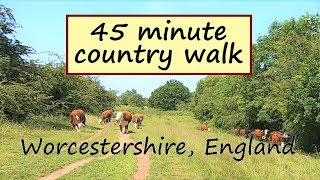 Walking In English Countryside On A Summers Day  Treadmill Workout Scenery [upl. by Eidahs953]