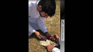 Sheikh Hamdan Fazza  Someone needs help 12062018 [upl. by Demmy]