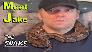 Meet Jake the ball python [upl. by Alesram]