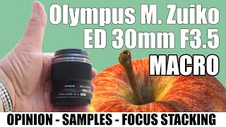 Olympus M Zuiko Digital ED 30mm F35 Macro Lens [upl. by Asiak212]