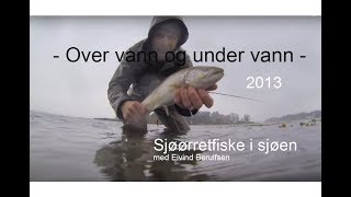 Sjøørretfiske i sjøen  Over vann og under vann 2013 Med Eivind Berulfsen [upl. by Loma]