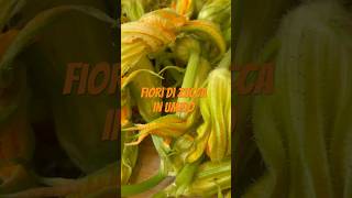 Siciliani creativi  Fiori di zucca in umido contorno veg  Stewed courgette flowers shortsrecipe [upl. by Netsirc]