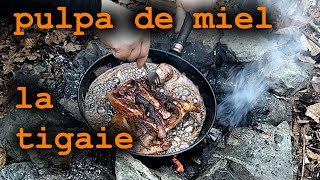 miel la tigaie la padurebushcraft cooking [upl. by Ydospahr]