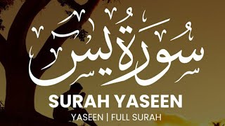 Surah Yaseen  Surah Yasin  Recited by Tareq Mohammed [upl. by Mourant]