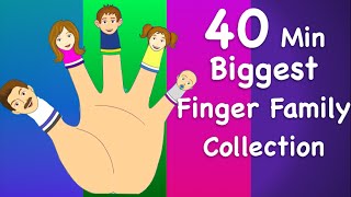 Finger Family Collection  NonStop 40 Minutes  Biggest Collection of Finger Family For Children [upl. by Woll]