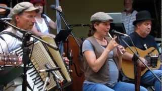 Merrily Kiss the Quakers Wife amp Irish Washerwoman by Red Dragon Irish Band [upl. by Dolli]