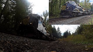 Rocky Mountaineer Double Take [upl. by Lirpa]