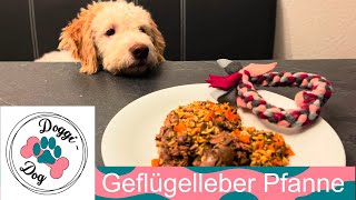 Geflügelleber Pfanne für den Hund  Rezept von DoggiDogcom [upl. by Sajovich]