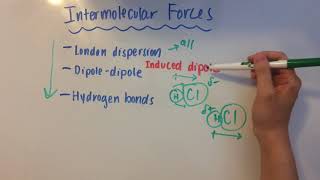 London Dispersion Forces Dipole Interactions and Hydrogen Bonds [upl. by Marin]