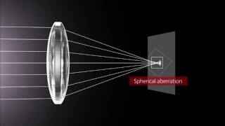 How Lenses Function [upl. by Assirralc848]