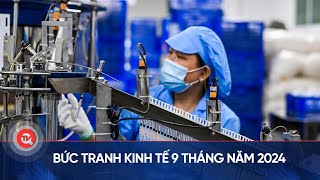 Bức tranh kinh tế 9 tháng năm 2024  Truyền hình Quốc hội Việt Nam [upl. by Imailiv]