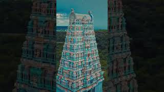 Thiruthani murugan temple 💫 thiruthani thiruthanimurugantemple muruganmuruga murugantemple [upl. by Ahsyt]