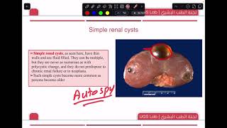 UGS Pathology Lab 1 [upl. by Aneerehs]