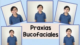 Praxias Bucofaciales  Lenguaje oral [upl. by Procto609]