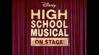 Were All In This Together INSTRUMENTAL  Stage Song High School Musical [upl. by Ardnahc289]