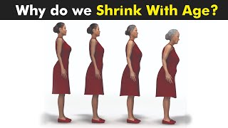 Why do We Get Shorter with Age 3D Animation [upl. by Krid]