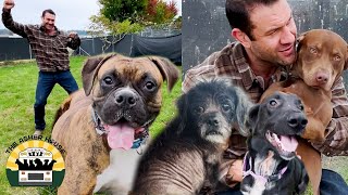 Rescuing 9 adorable dogs from the crowded shelter  The Asher House [upl. by Luhar961]