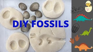 DIY FOSSILS  FOSSILS ACTIVITY FOR KIDS  HOW TO MAKE DINOSAUR FOSSILS  SALT DOUGH FOSSILS [upl. by Atnwahs]