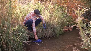 CamelBak Filtered by LifeStraw®  Reservoirs Tips  CamelHak [upl. by Sage126]