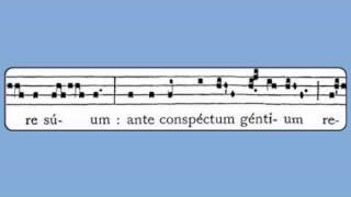 Viderunt Omnes Christmas Gradual [upl. by Hairahcez]