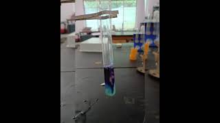 Protein Test  Egg Albumin Biuret Test Xanthoproteic Test millons Reagent Test  class 12 CBSE [upl. by Klarrisa]