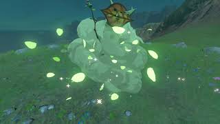 Korok seeds  East Akkala Beach  Akkala Tower 22  Zelda BOTW [upl. by Hough970]