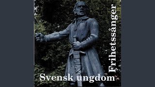 Fattar du svensk [upl. by Nosnirb]