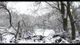 Test 5  First Snow 2016 in Schwabach  Sony PXWFS7 with Sony SELP18105G [upl. by Erelia]