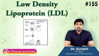 155 Low Density Lipoprotein LDL [upl. by Ennovihc]