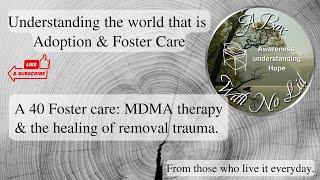 A 40 Foster care MDMA therapy amp the healing of removal trauma [upl. by Akihsan]