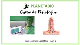 Aula 4 SISTEMA DIGESTÓRIO PARTE 3 [upl. by Jegar]