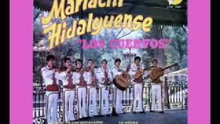 Mariachi Hidalguense Los Cuervos A La Vibora De La Mar [upl. by Enileuqaj]