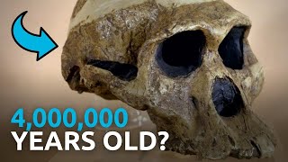 Is It Really Four Million Years Old Bible Reveals Truth  Answers News  Dr Georgia Purdom [upl. by Yekcim]