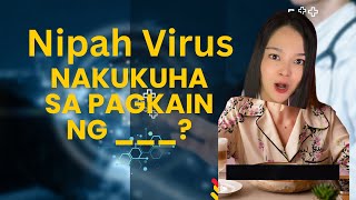 Katotohanan sa Nipah Virus [upl. by Nonnek]