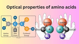 Optical properties amino acids d and L RS BIOCHEMISTRY  CSIR NET JRF GATE DBT NET CUET NEET [upl. by Otrebron]