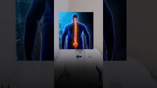 Low Back Pain in Aging  Expert Tips  Dr Shashidhar  Deepam Medfirst [upl. by Notsla]