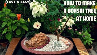 How to Make a Bonsai at Home FAST N EASY [upl. by Joni989]